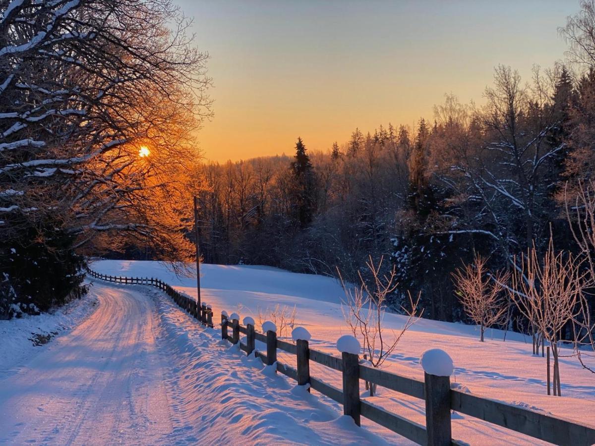 Vila Mosku Pirts Meza Maja Turaida Exteriér fotografie
