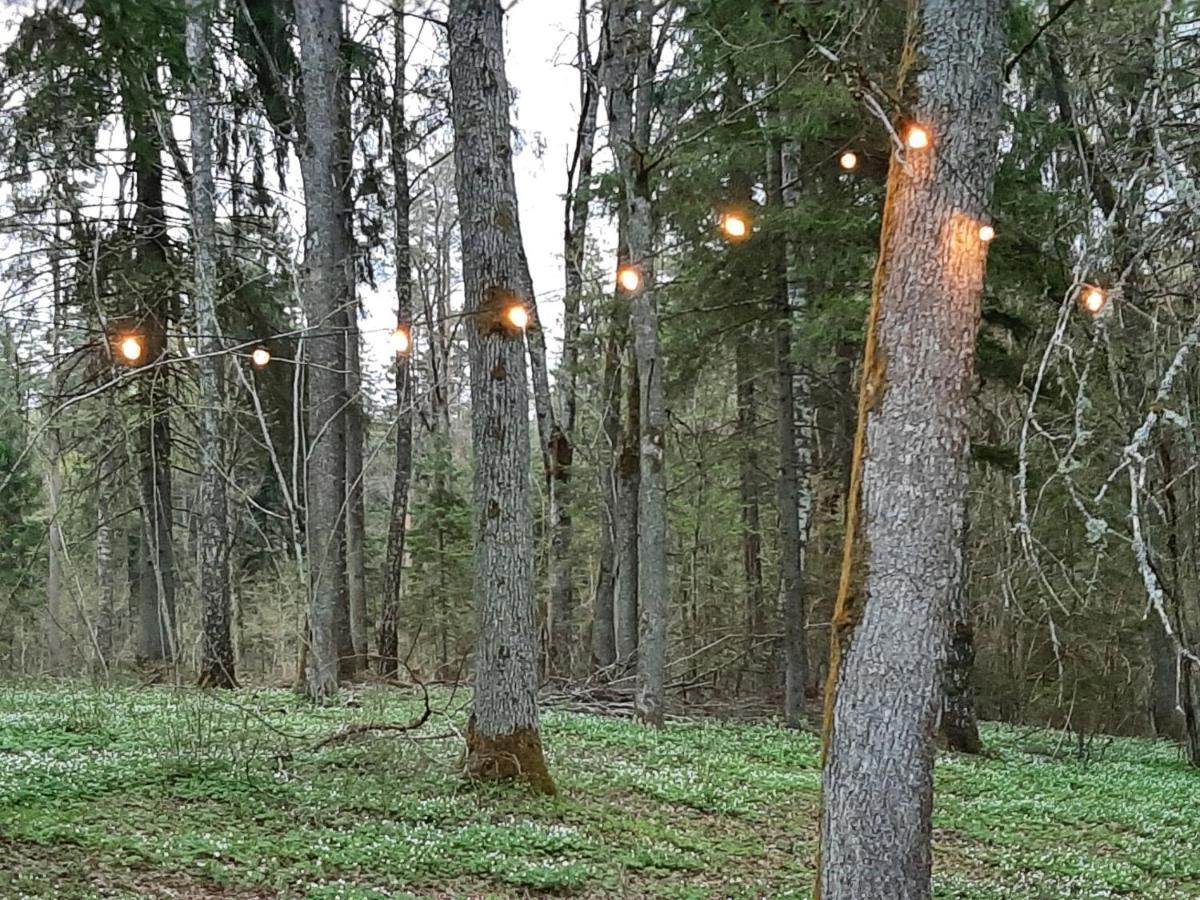 Vila Mosku Pirts Meza Maja Turaida Exteriér fotografie