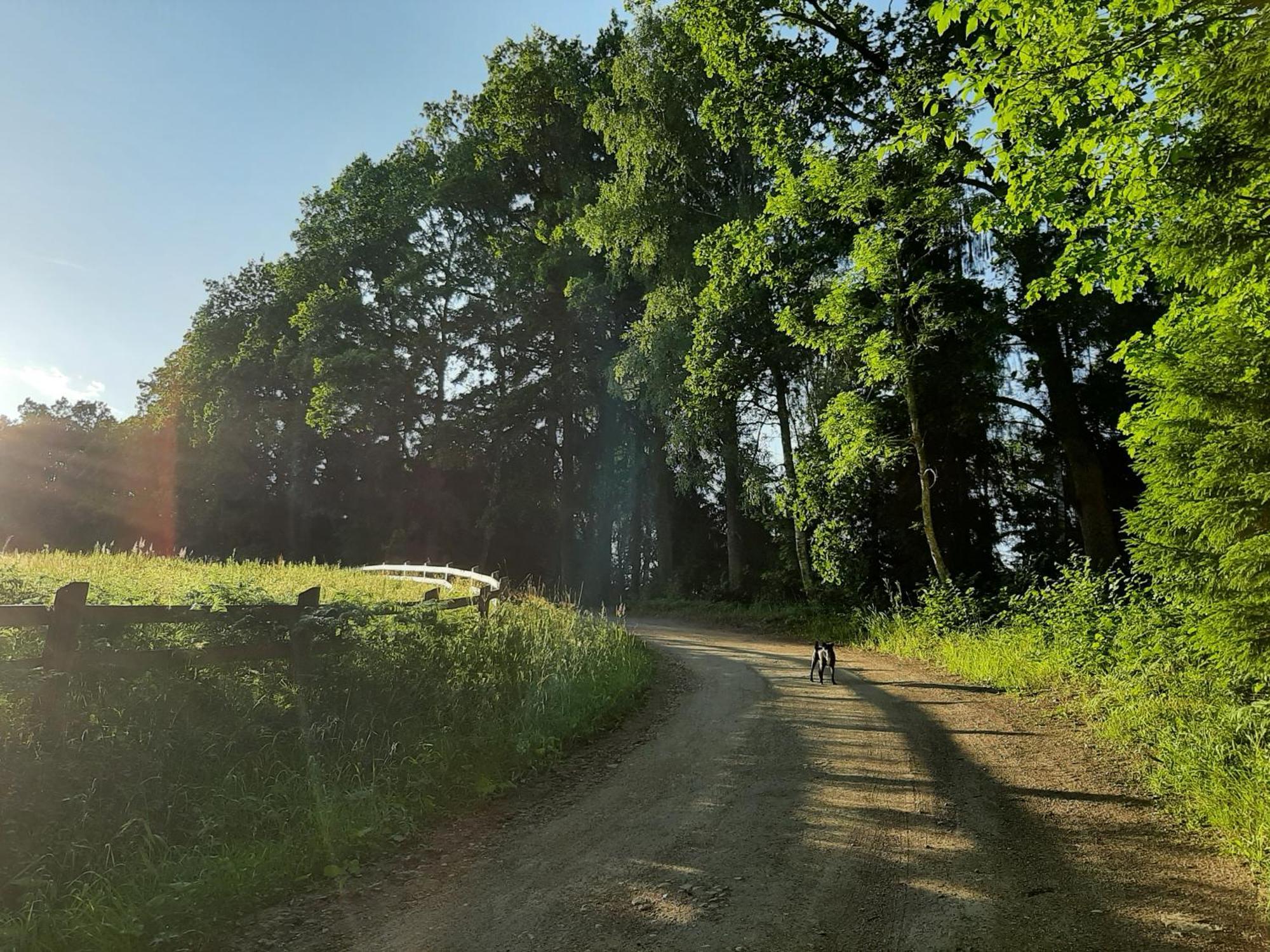 Vila Mosku Pirts Meza Maja Turaida Exteriér fotografie